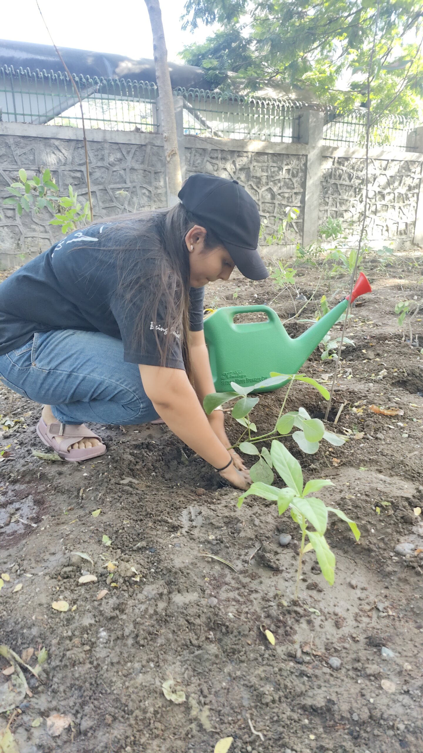 Plantation Drive in Surat